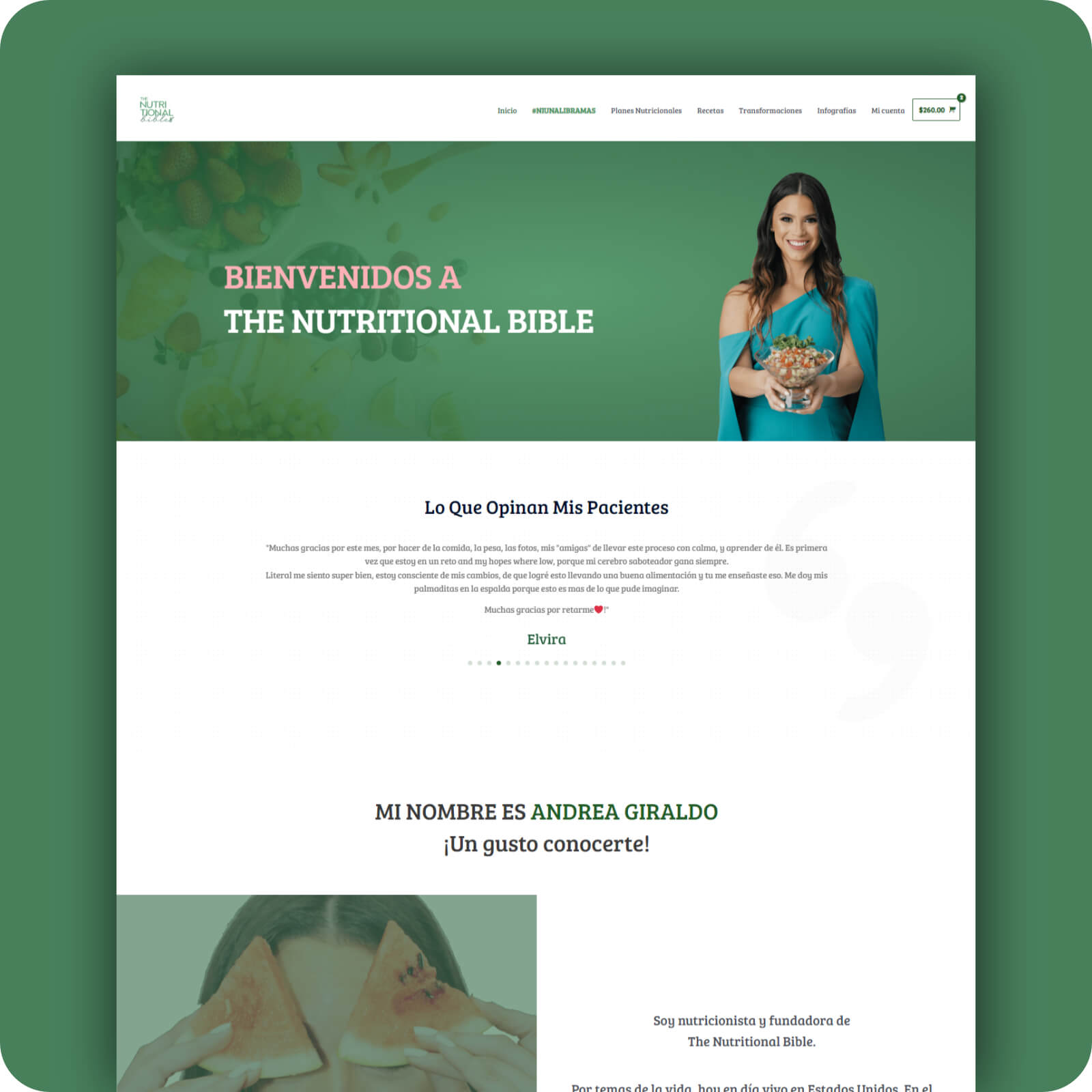 Tienda Online WooCommerce Panama TNB - OPT